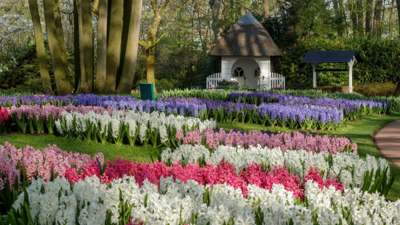 Molecaten Park Noordduinen Katwijk aan Zee ภายนอก รูปภาพ
