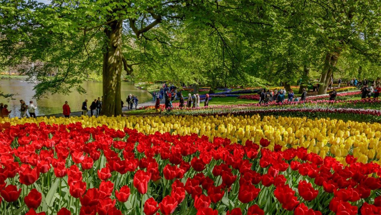 Molecaten Park Noordduinen Katwijk aan Zee ภายนอก รูปภาพ